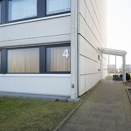 Stranddistel 4 Hafenkoje Burgtiefe auf Fehmarn Luaran gambar